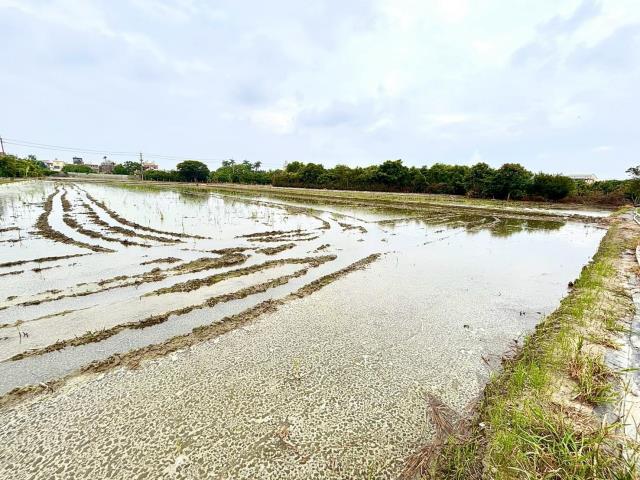 神岡農地-2