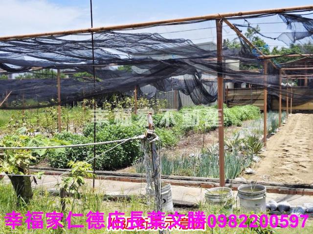 南區農地-13