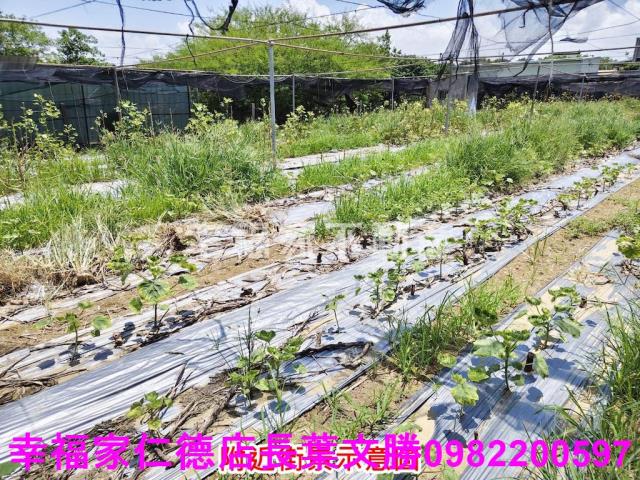 南區農地-2