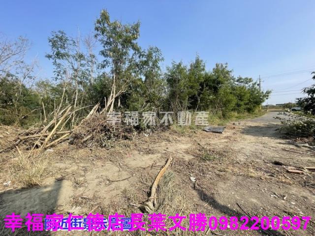 學甲工業地-15