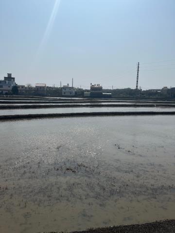 中壢農地-2