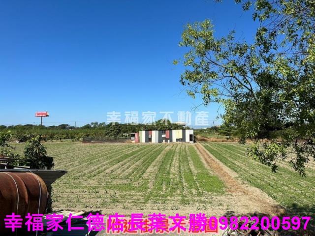 安定農地-8
