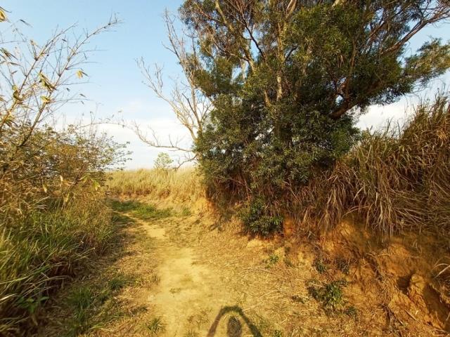 龍井保護區-2