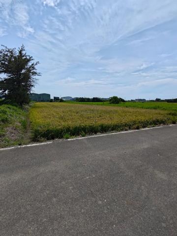 大園農地-1