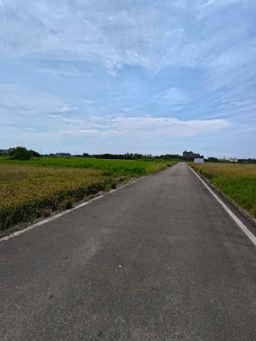 大園農地-2