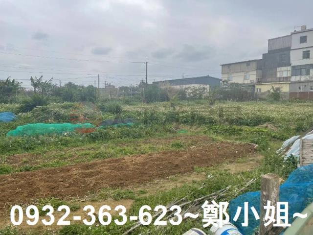 大園農地-1