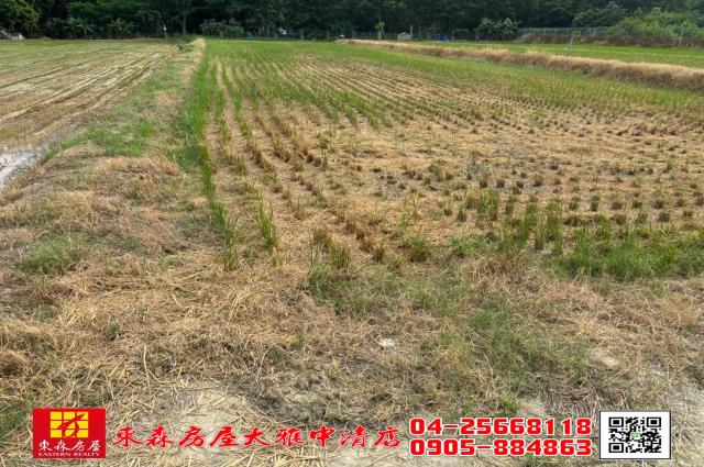 大雅農地-5