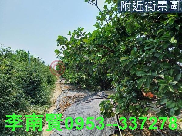 台南麻豆農地-7