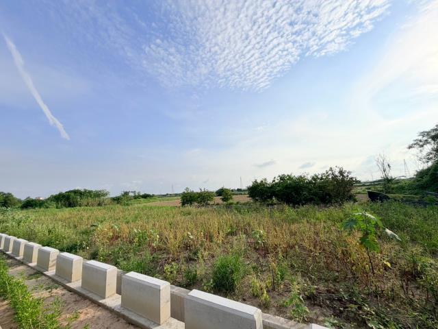台南佳里農地-2