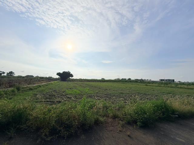 台南佳里農地-7