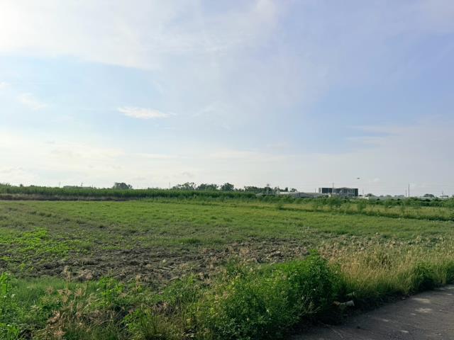 台南麻豆農地-2