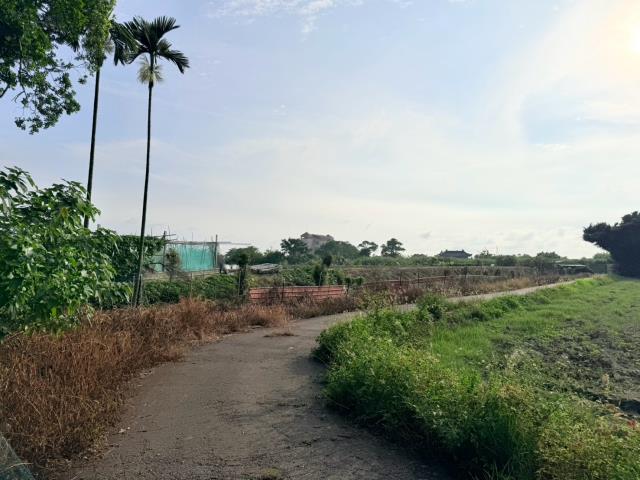 台南麻豆農地-5