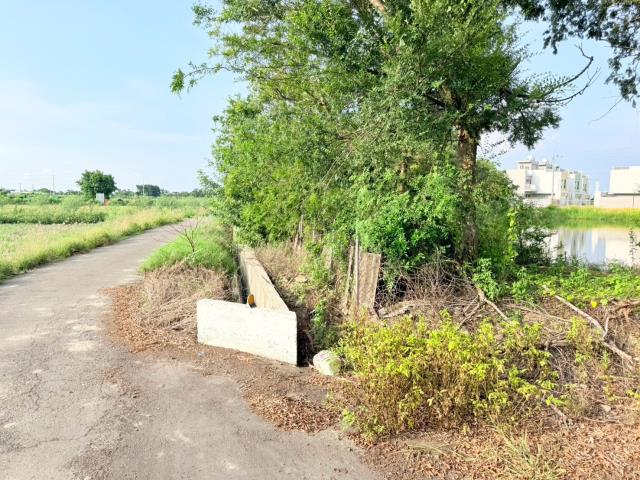 台南麻豆農地-7