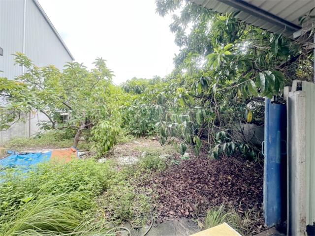 高雄大寮農地-9