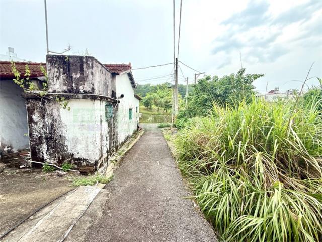 高雄杉林建地-11