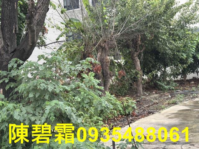 永康建地-6