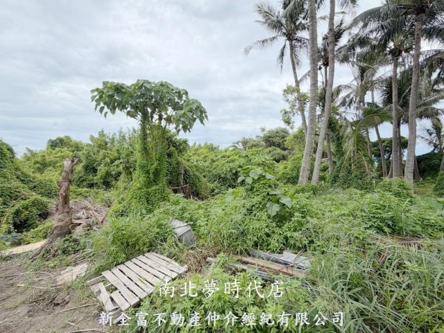 南區農地-3