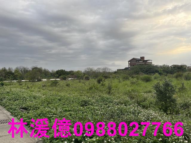 中壢農地-1