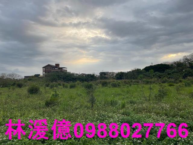 中壢農地-4