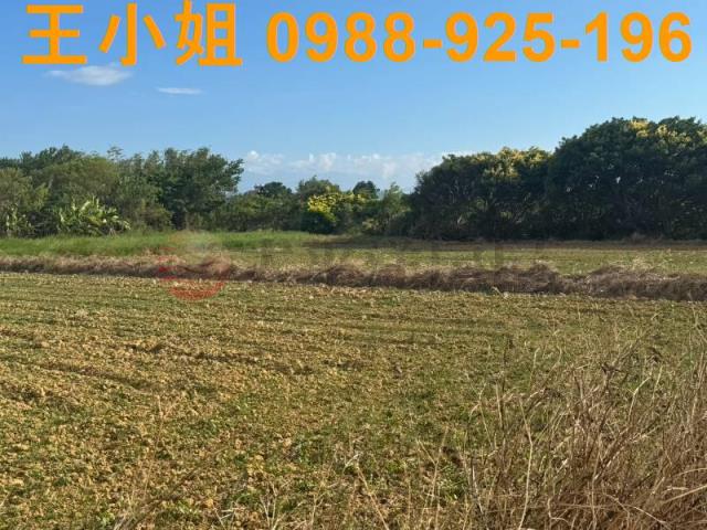楊梅農地-12