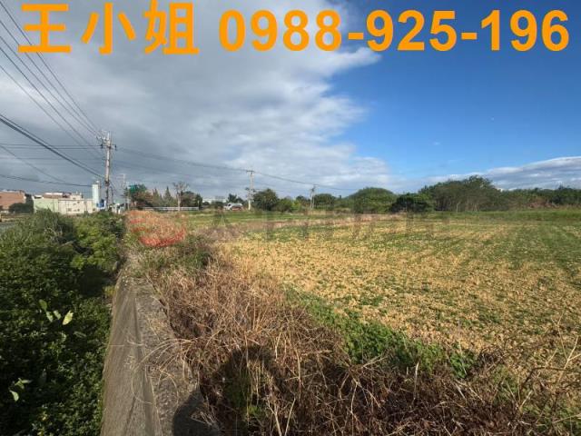 楊梅農地-8