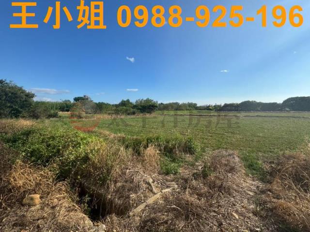 楊梅農地-9