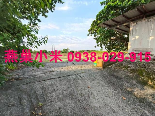 阿蓮農地-1