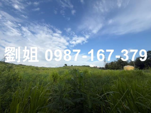 大社農地-1