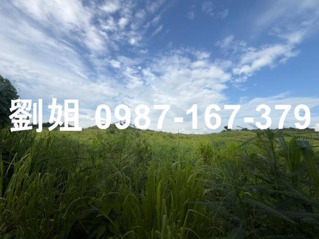 大社農地-2