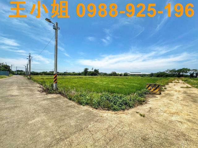 桃園農地-3