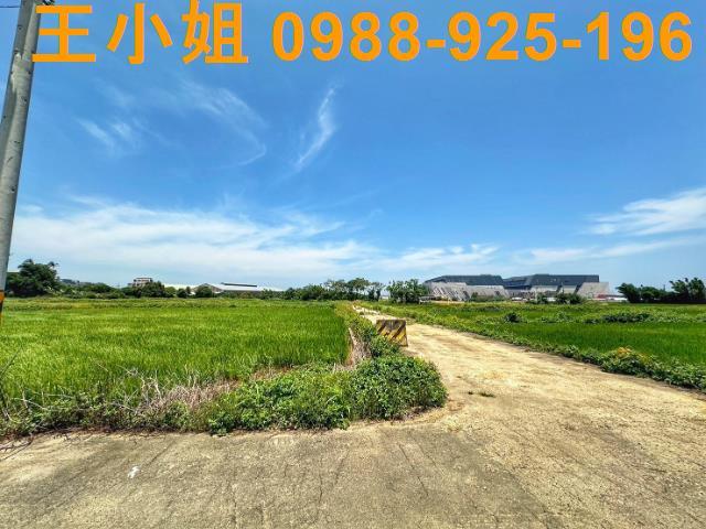 桃園農地-4