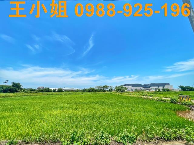 桃園農地-5