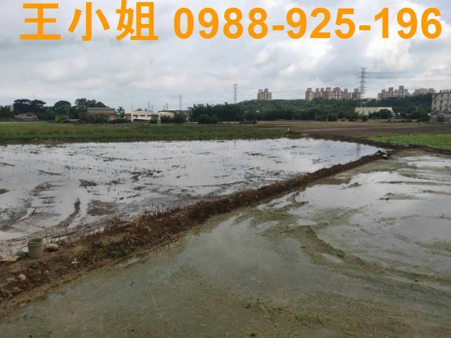 桃園農地-2