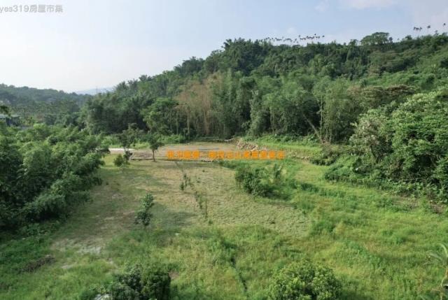 南投竹山農地-6