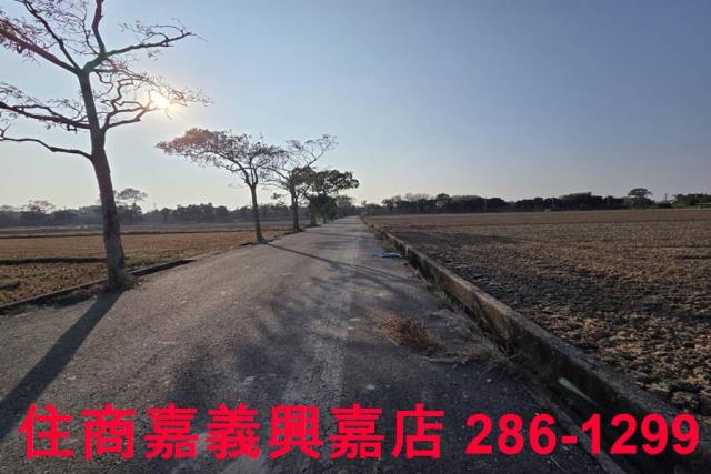 大林農地-10