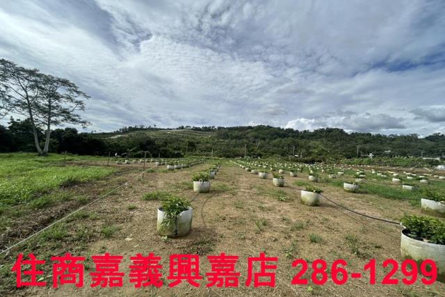 嘉義休閒地-6