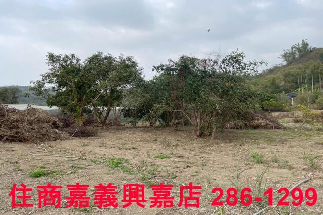 嘉義中埔農地-8