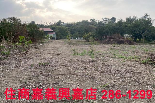 嘉義中埔農地-2