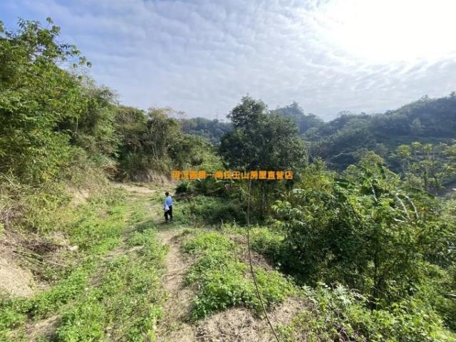 南投中寮農地-2