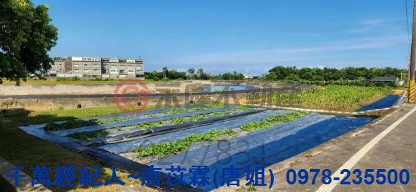 新竹湖口農地-4
