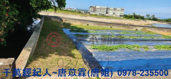 新竹湖口農地-5