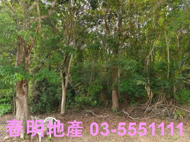 峨眉農地-4