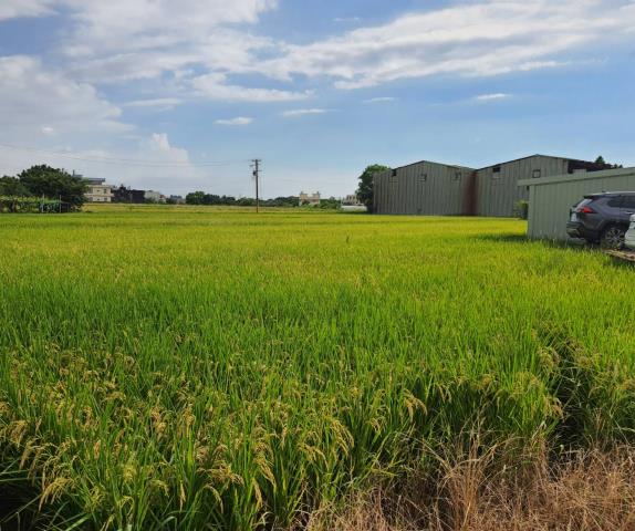 蘆竹農地-5
