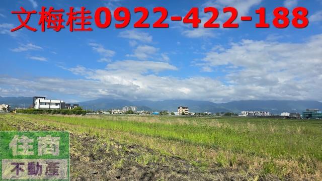 宜蘭宜蘭市農地-7