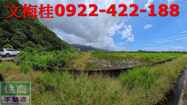 礁溪農地-7