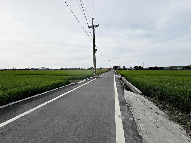 龍井農地-1
