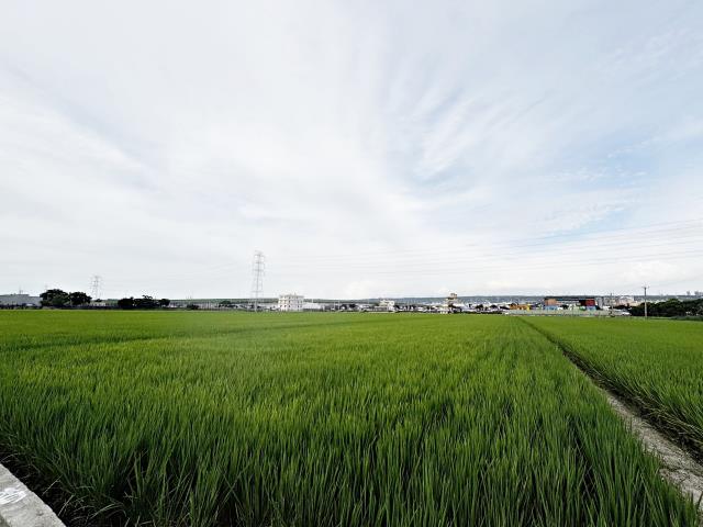 龍井農地-4