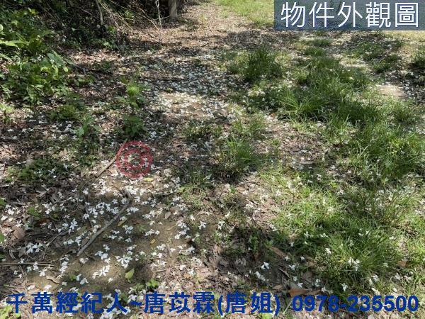 芎林農地-15