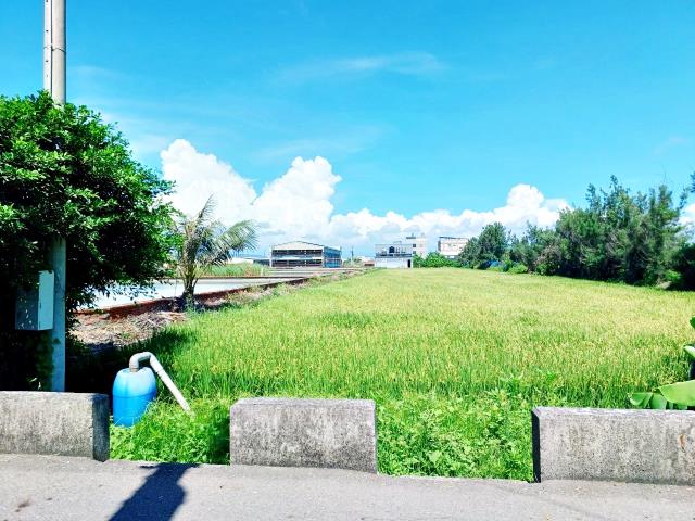 線西農地-2