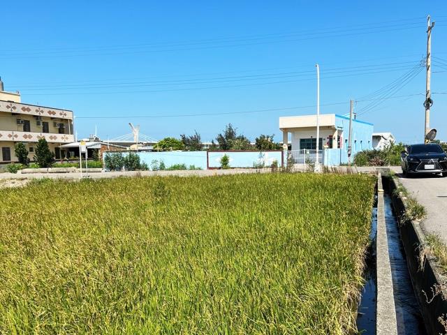 大甲農地-4
